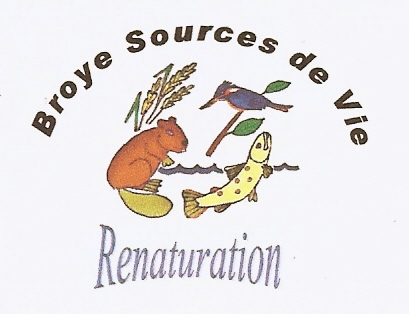 Premier essai de logo